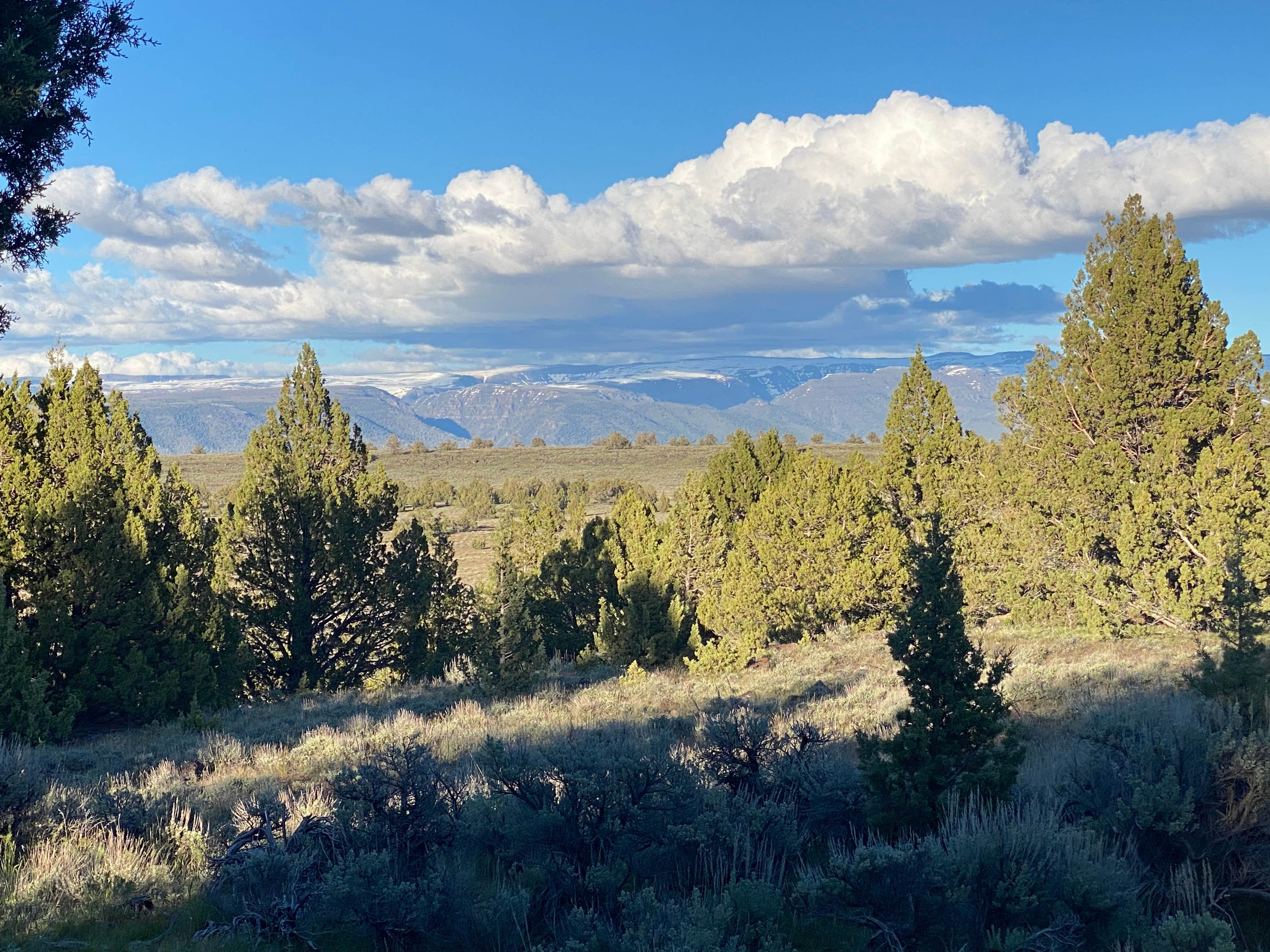 Camper submitted image from Steens Mountain Loop Road Dispersed Campsite - 3