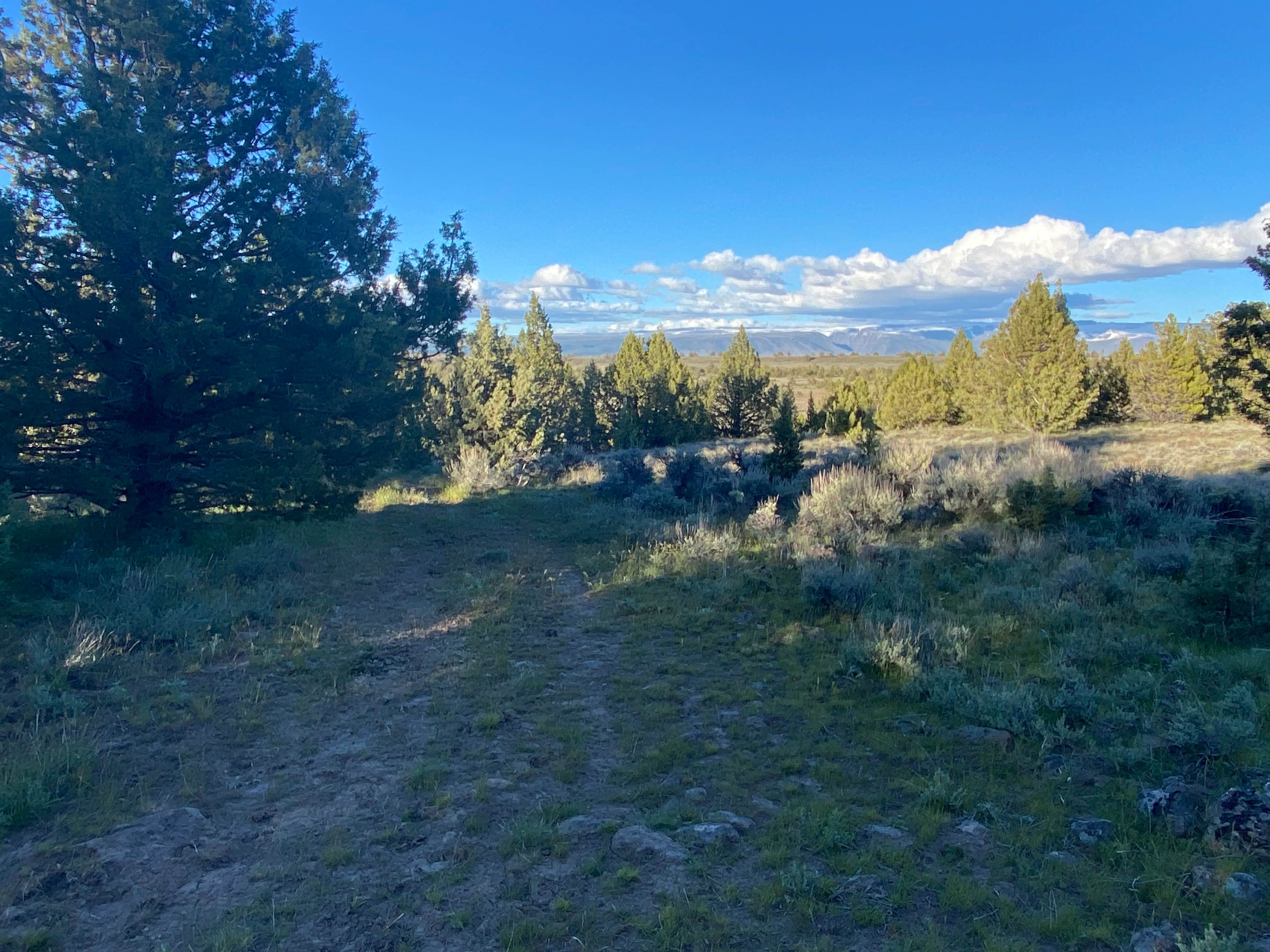 Camper submitted image from Steens Mountain Loop Road Dispersed Campsite - 1