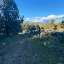 Steens Mountain Loop Road Dispersed Campsite