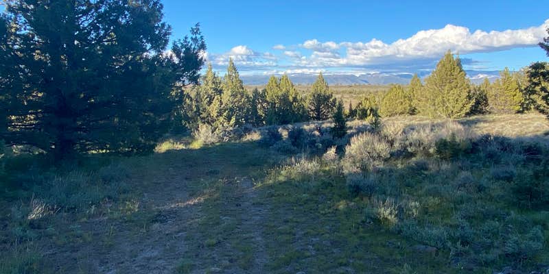 Camper submitted image from Steens Mountain Loop Road Dispersed Campsite