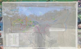 Eric R.'s photo of camping with pets at Stephen Foster Folk Culture Center State Park Campground near Valdosta, GA