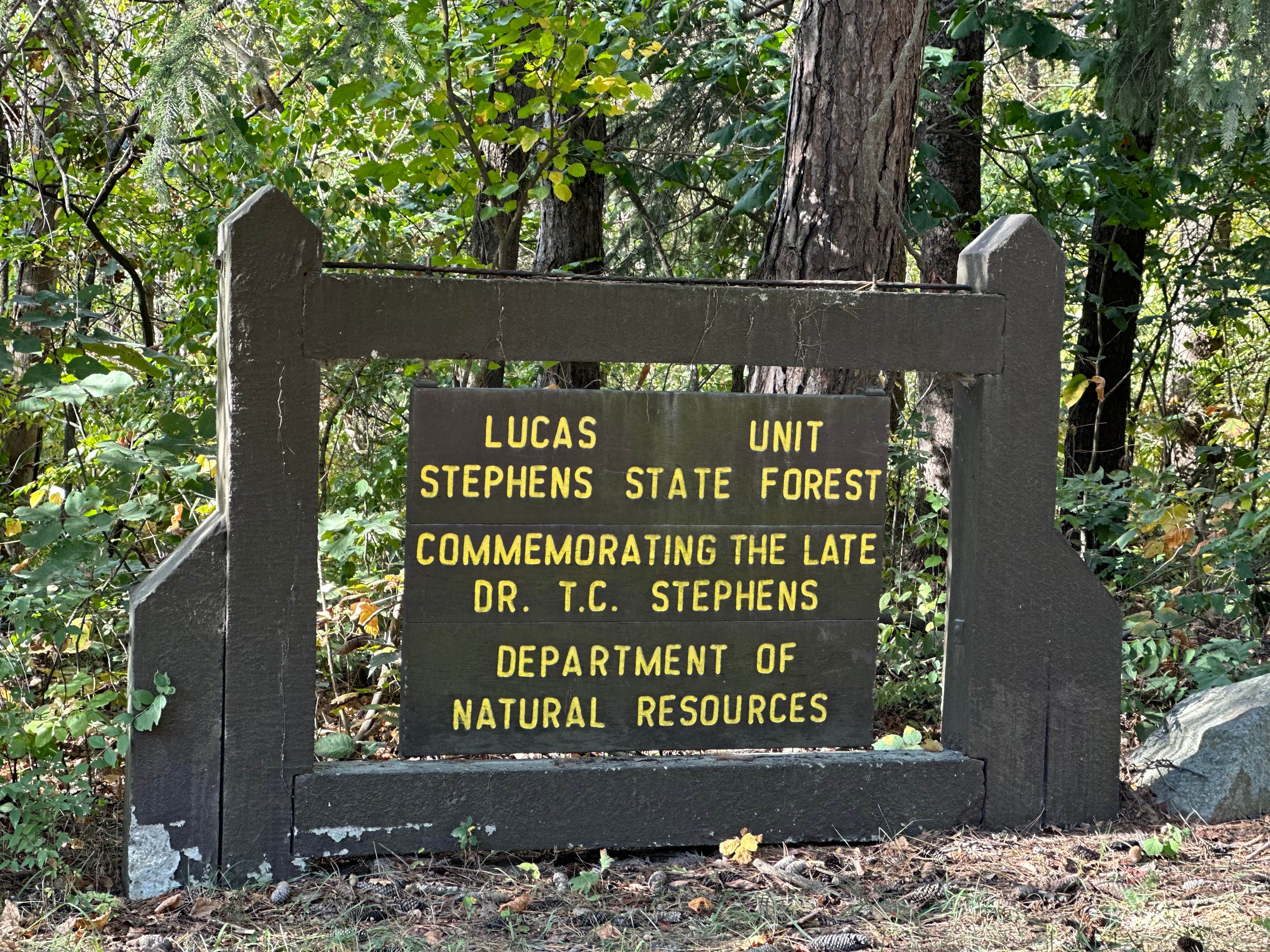 Camper submitted image from Mine Pond Campground — Stephens State Forest - 2