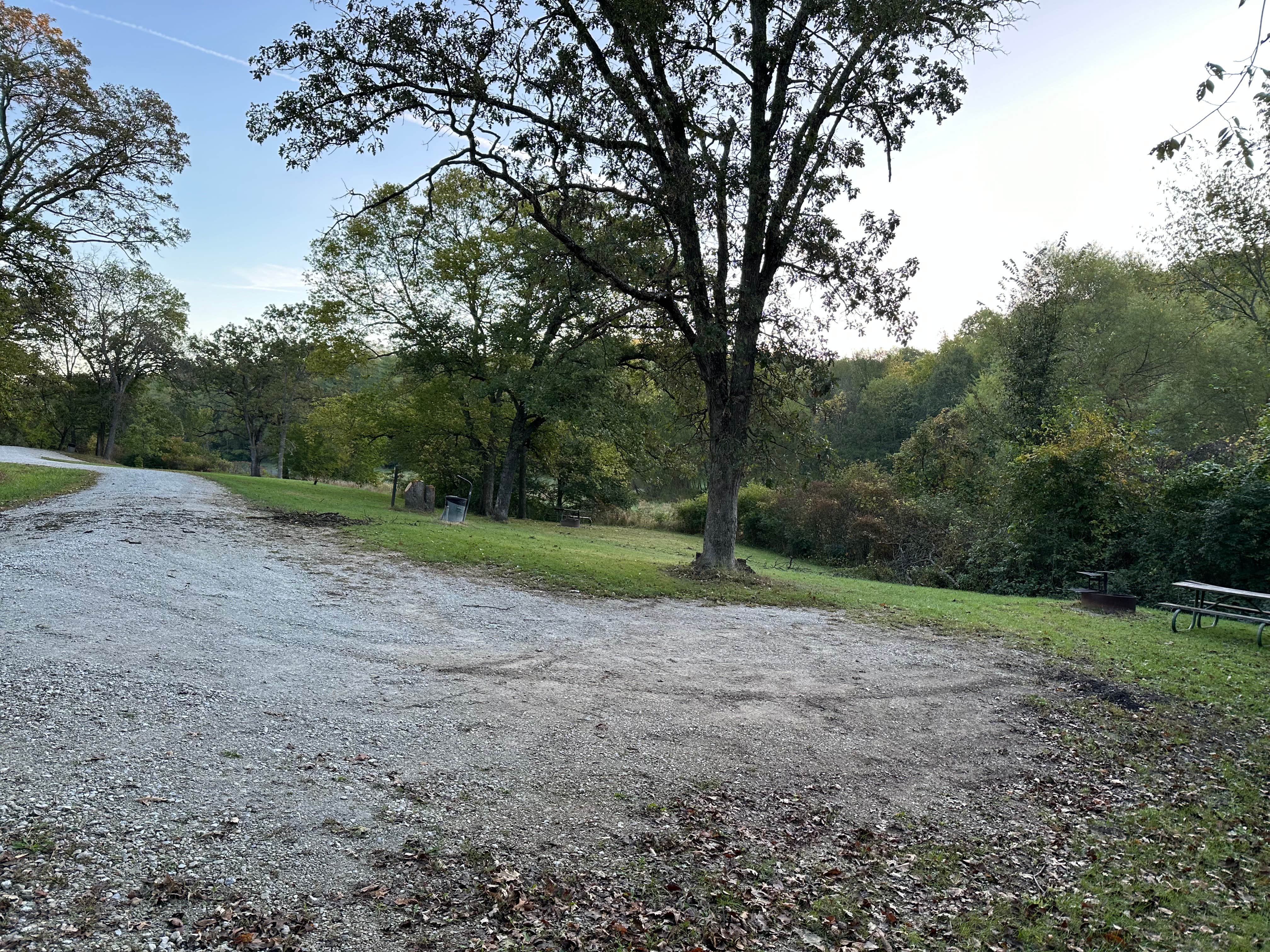 Camper submitted image from Mine Pond Campground — Stephens State Forest - 4