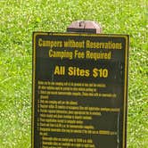 Review photo of Mine Pond Campground — Stephens State Forest by Rick M., July 4, 2025