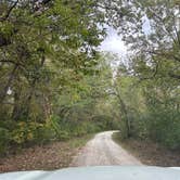 Review photo of Mine Pond Campground — Stephens State Forest by T J., October 10, 2023