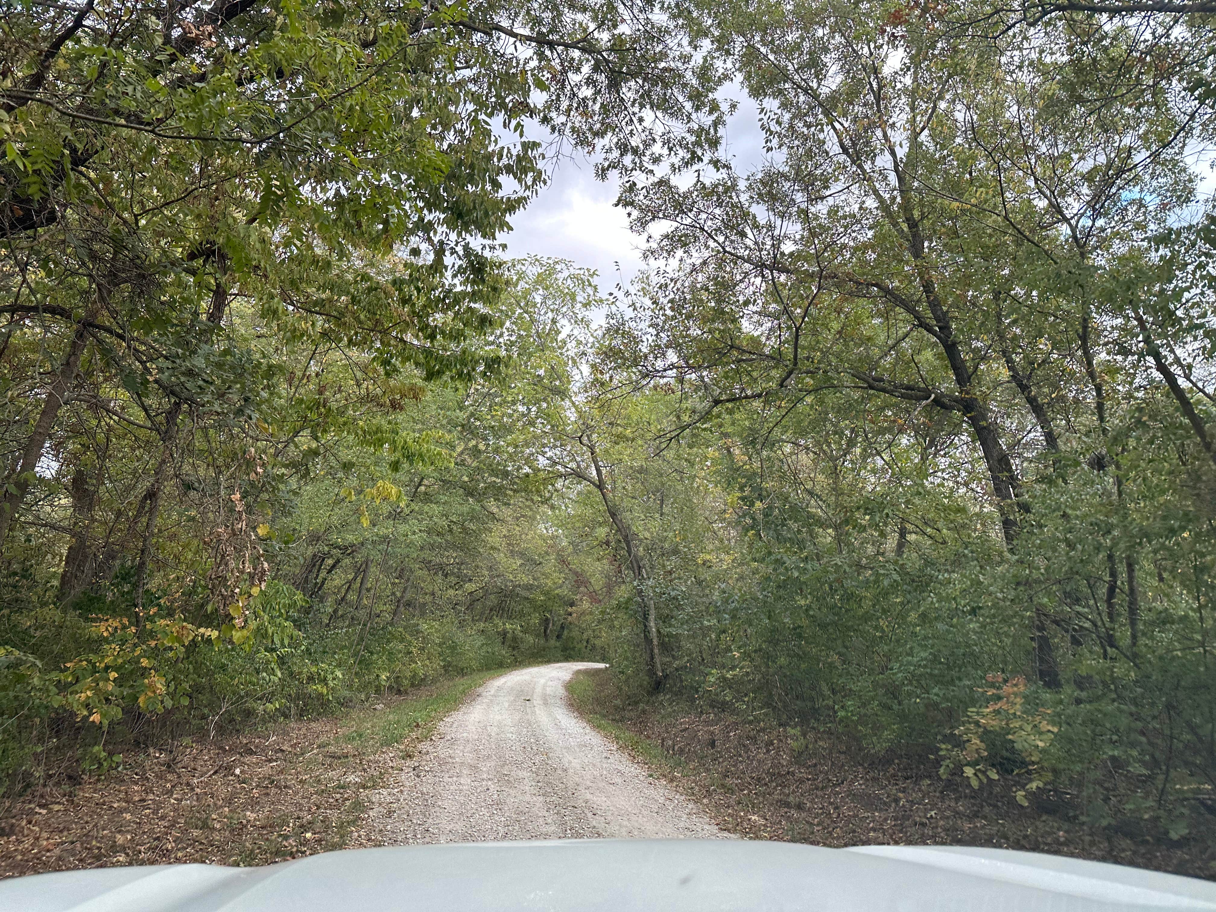 Camper submitted image from Mine Pond Campground — Stephens State Forest - 3