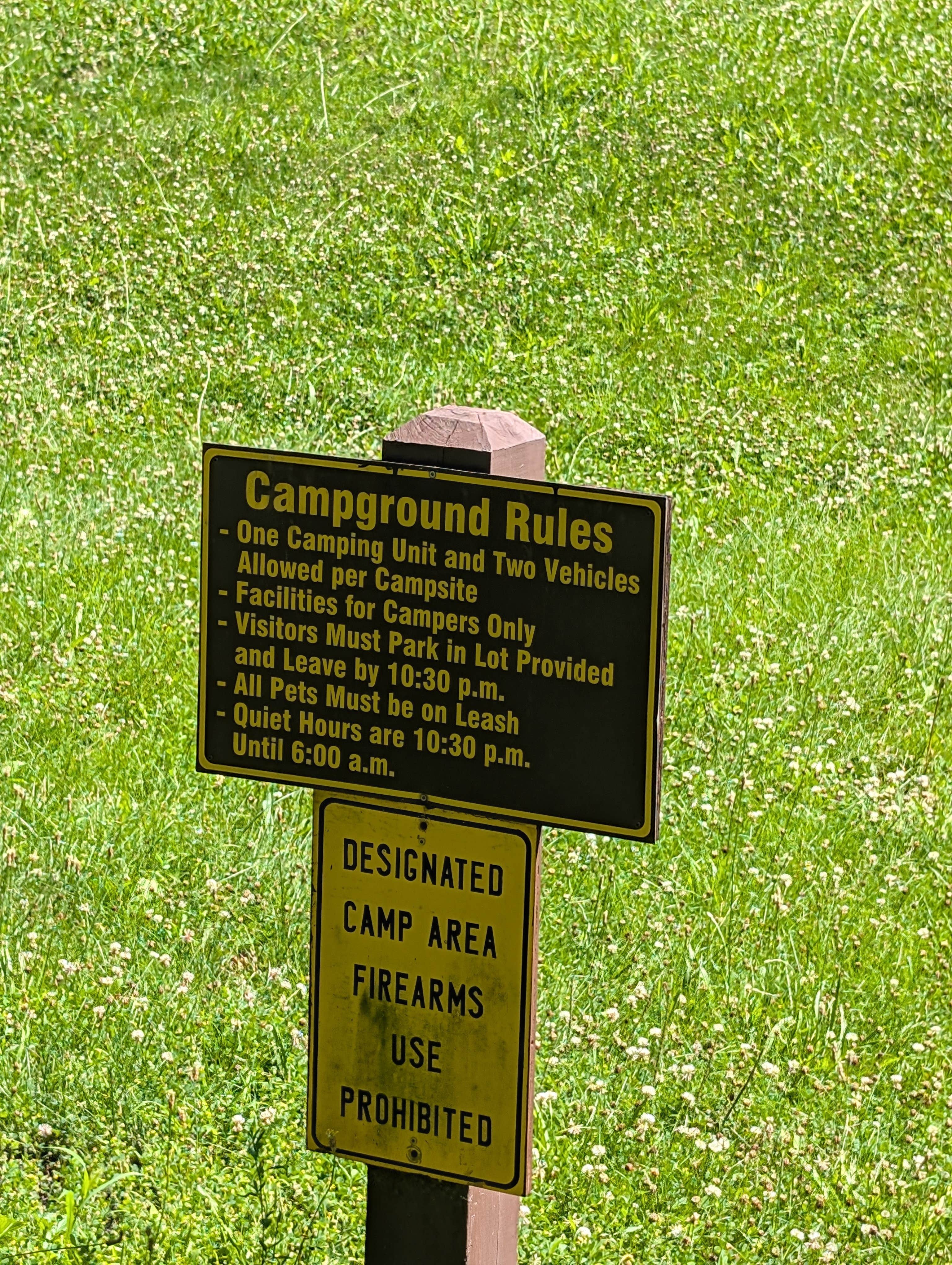 Camper submitted image from Mine Pond Campground — Stephens State Forest - 4