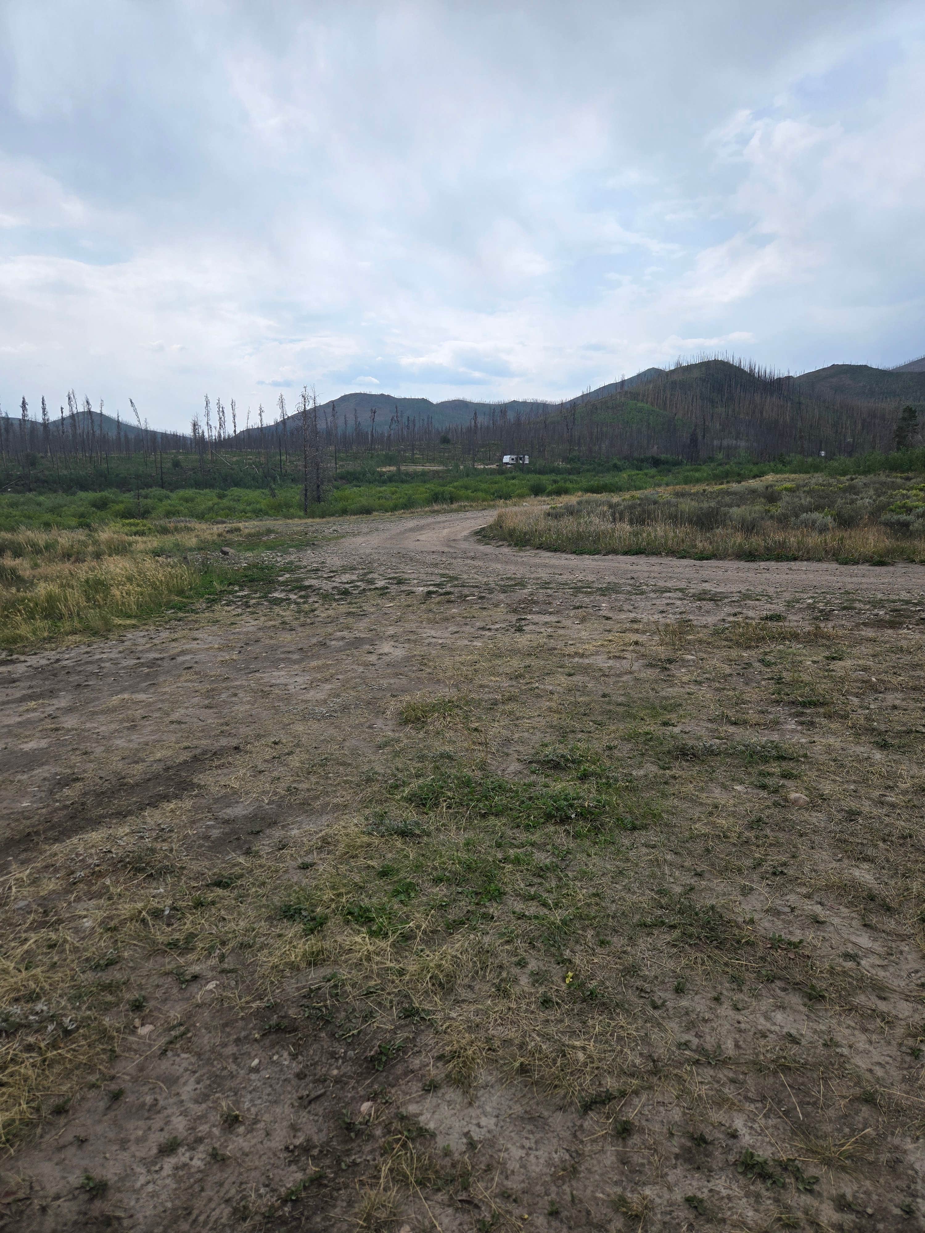 Camping near Arapaho National Forest Stillwater Campground: StillWater Creek dispersed area, Grand Lake, Colorado