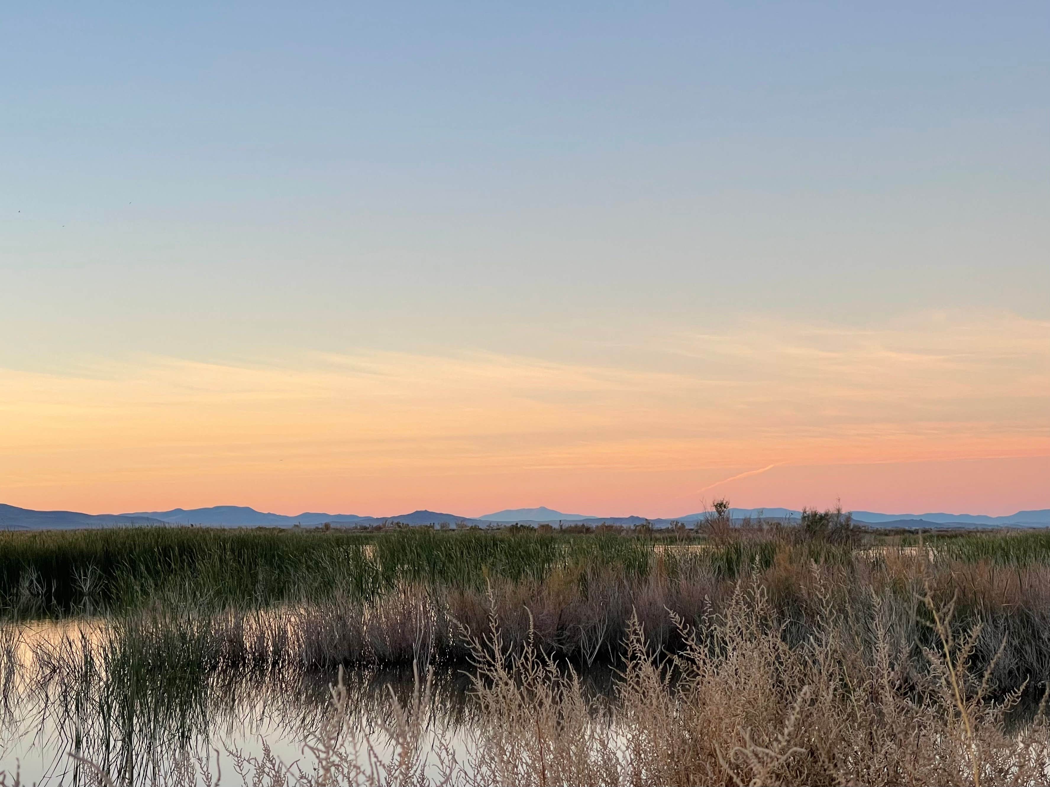Camper-submitted photo at Stillwater National Wildlife Refuge Dispersed Camping near Fallon, NV