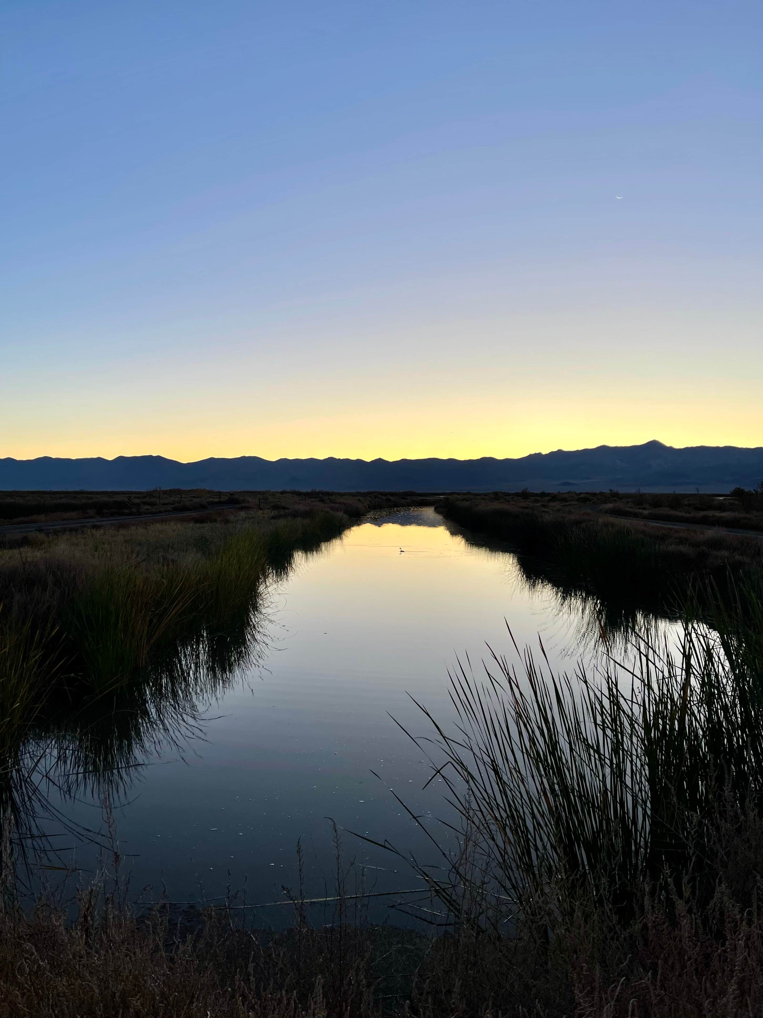 Kevin's photo of a dispersed camping area at Stillwater National Wildlife Refuge Dispersed Camping near Fernley, NV