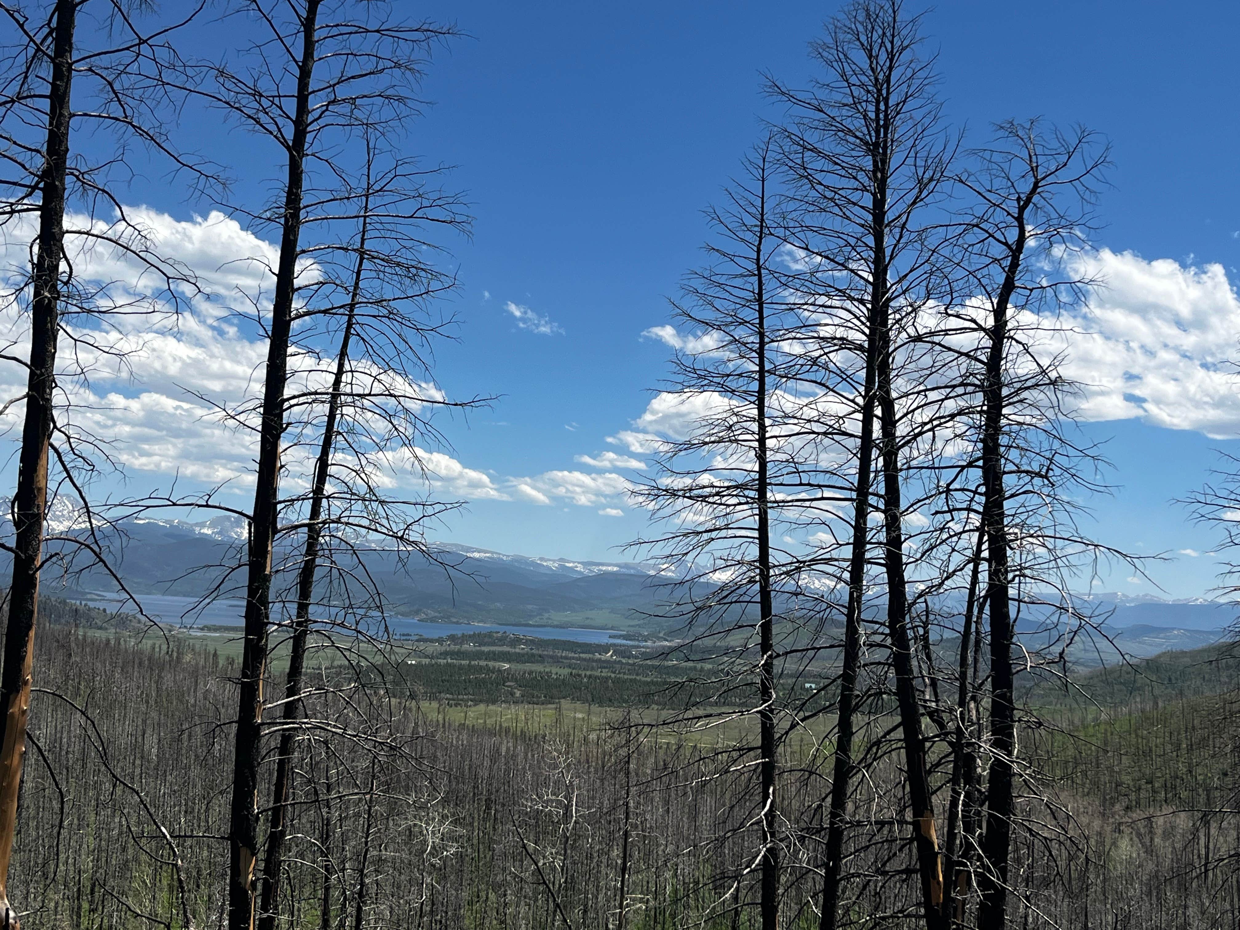 Marasha L.'s photo of a dispersed camping area at Stillwater Pass Dispersed Campsite near Granby, CO