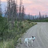 Review photo of Stillwater Pass Grand Lake Colorado - Dispersed by Lynn , August 5, 2026