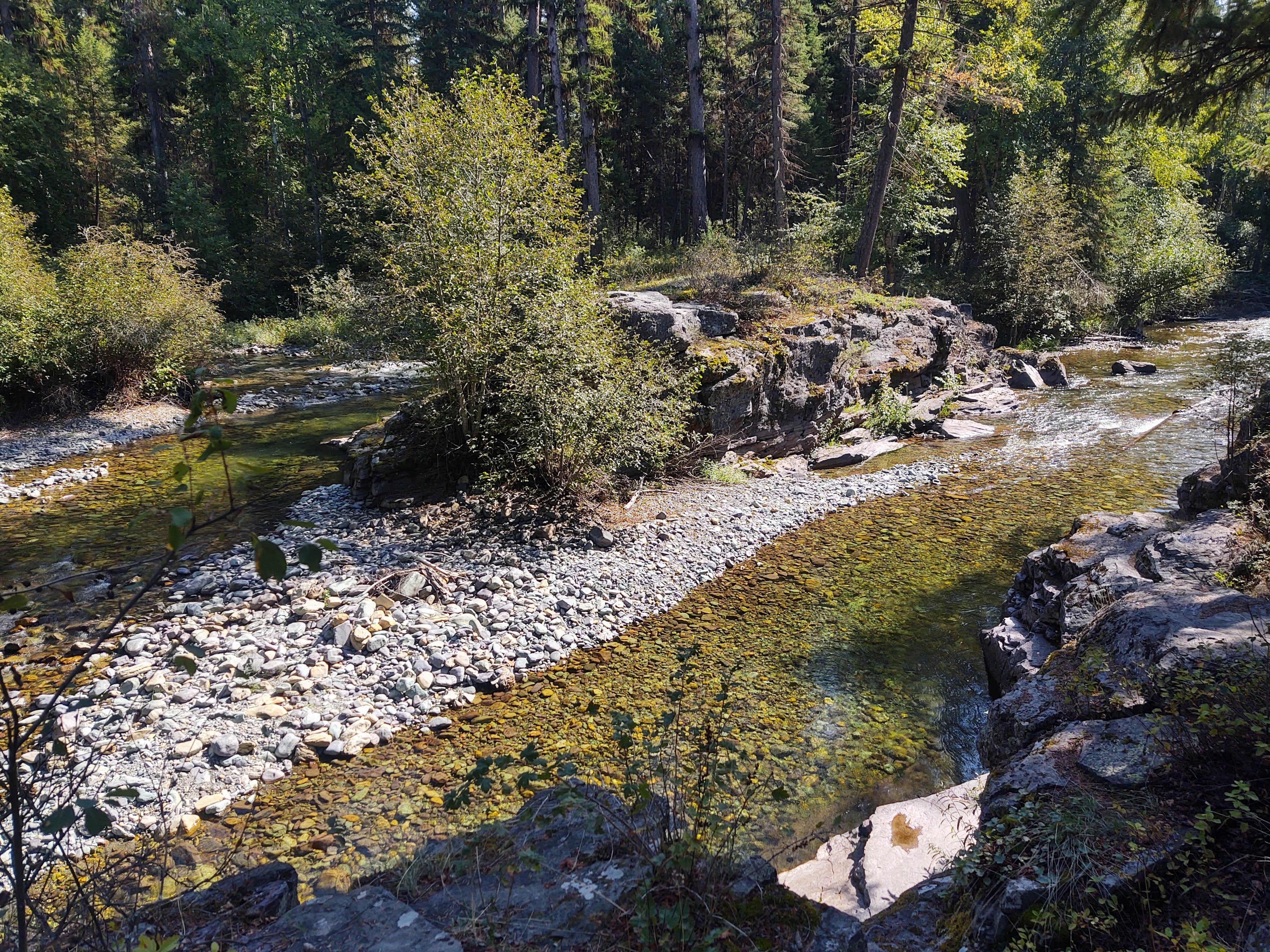 Camper-submitted photo at Stillwater River near Fortine, MT