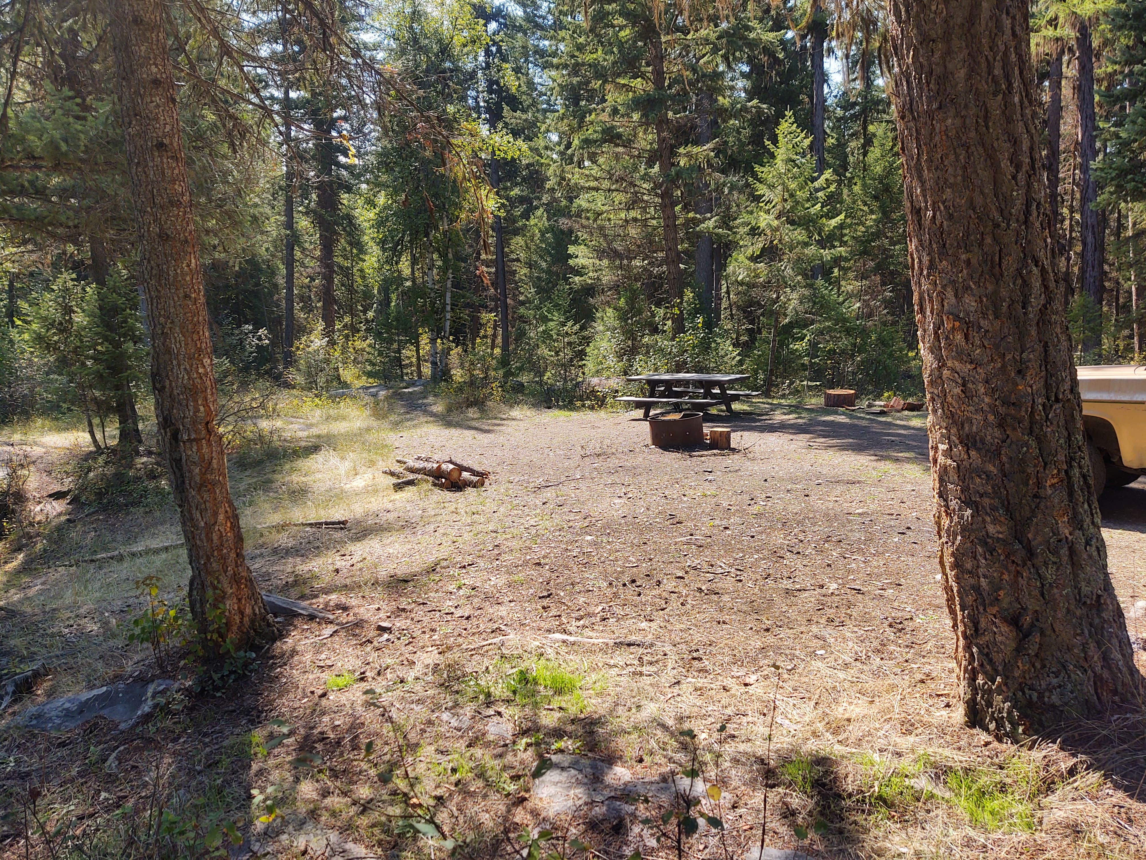 Camper-submitted photo at Stillwater River near Fortine, MT