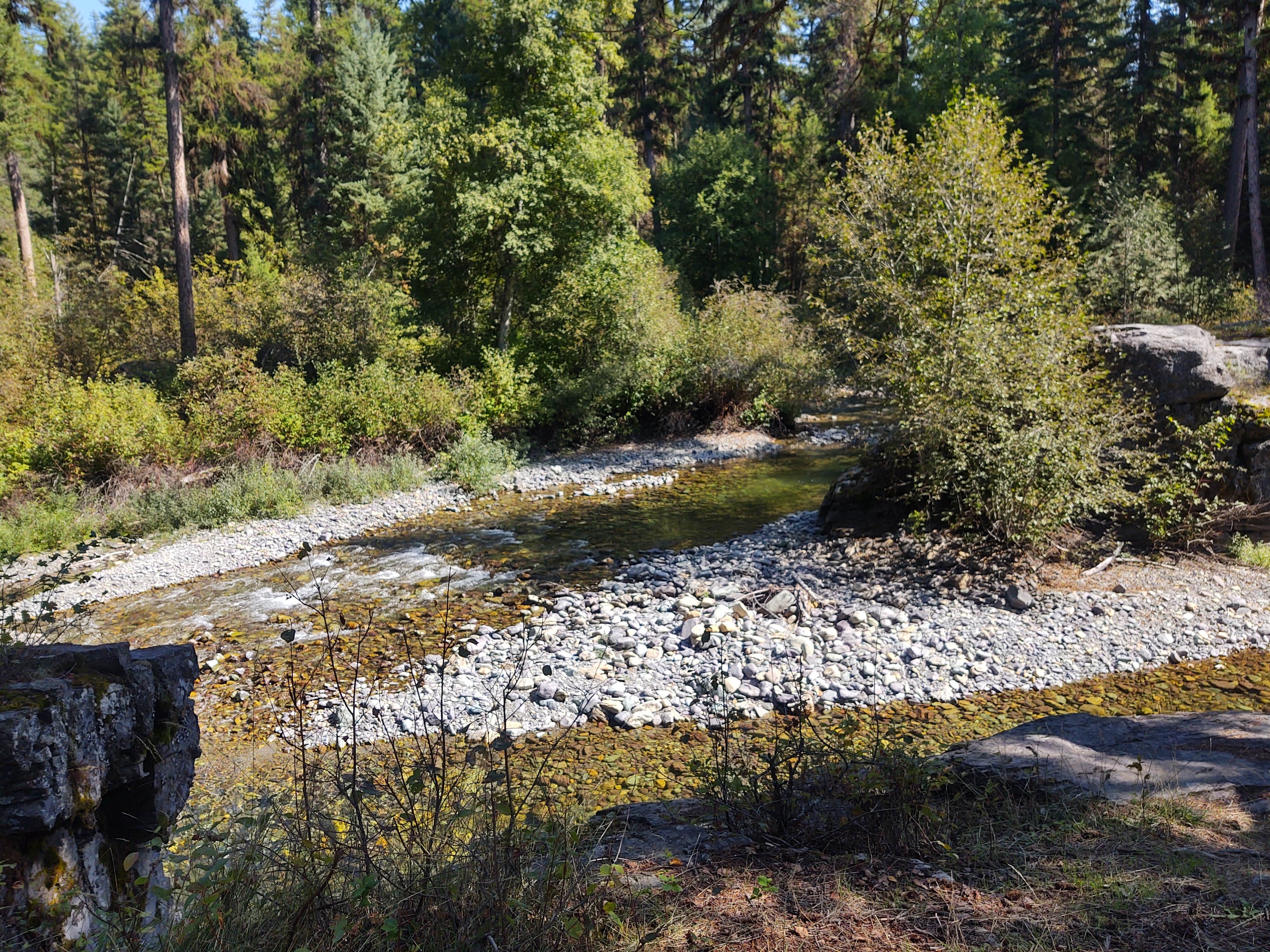 Camper-submitted photo at Stillwater River near Fortine, MT