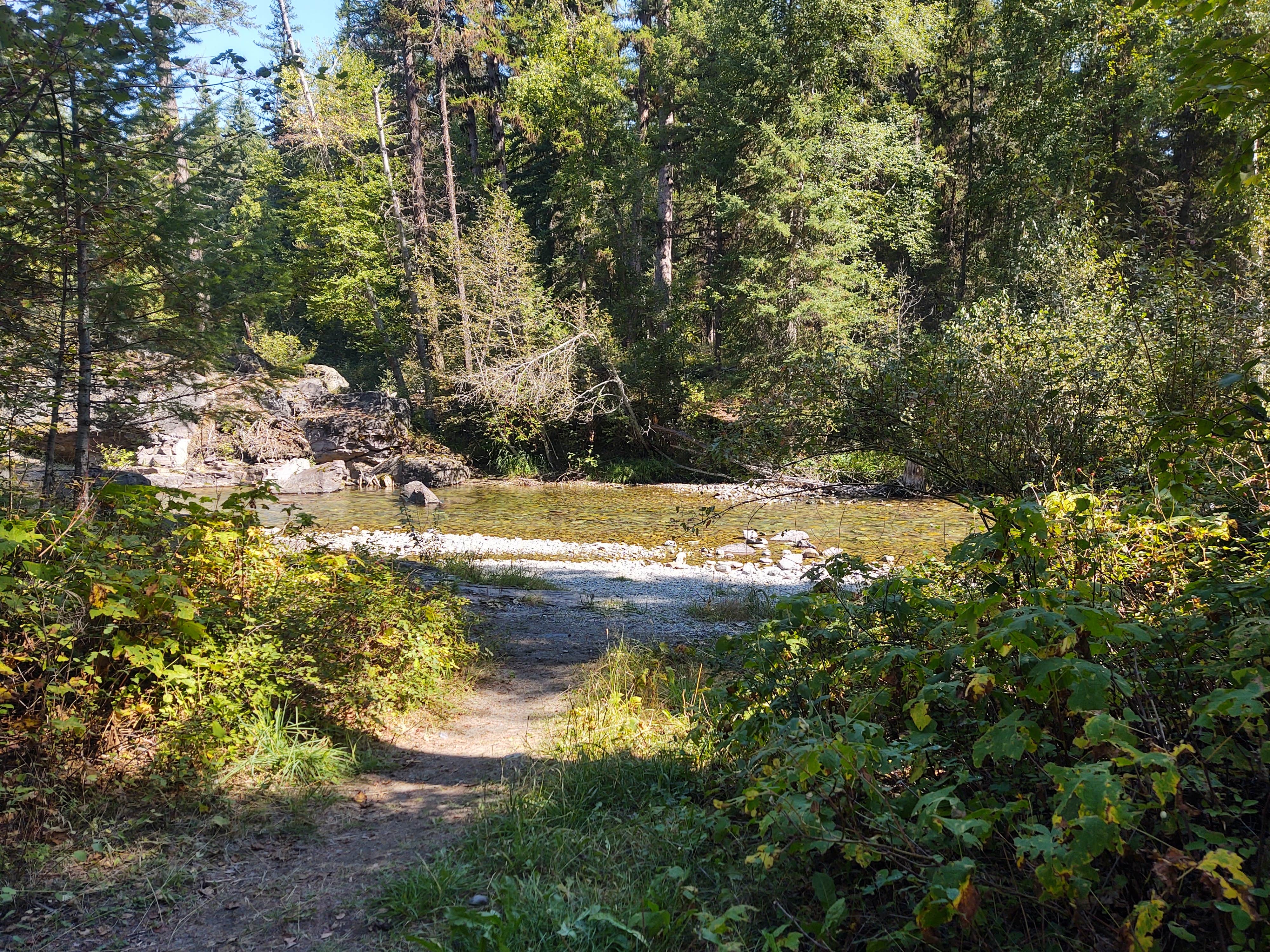 Camper-submitted photo at Stillwater River near Fortine, MT