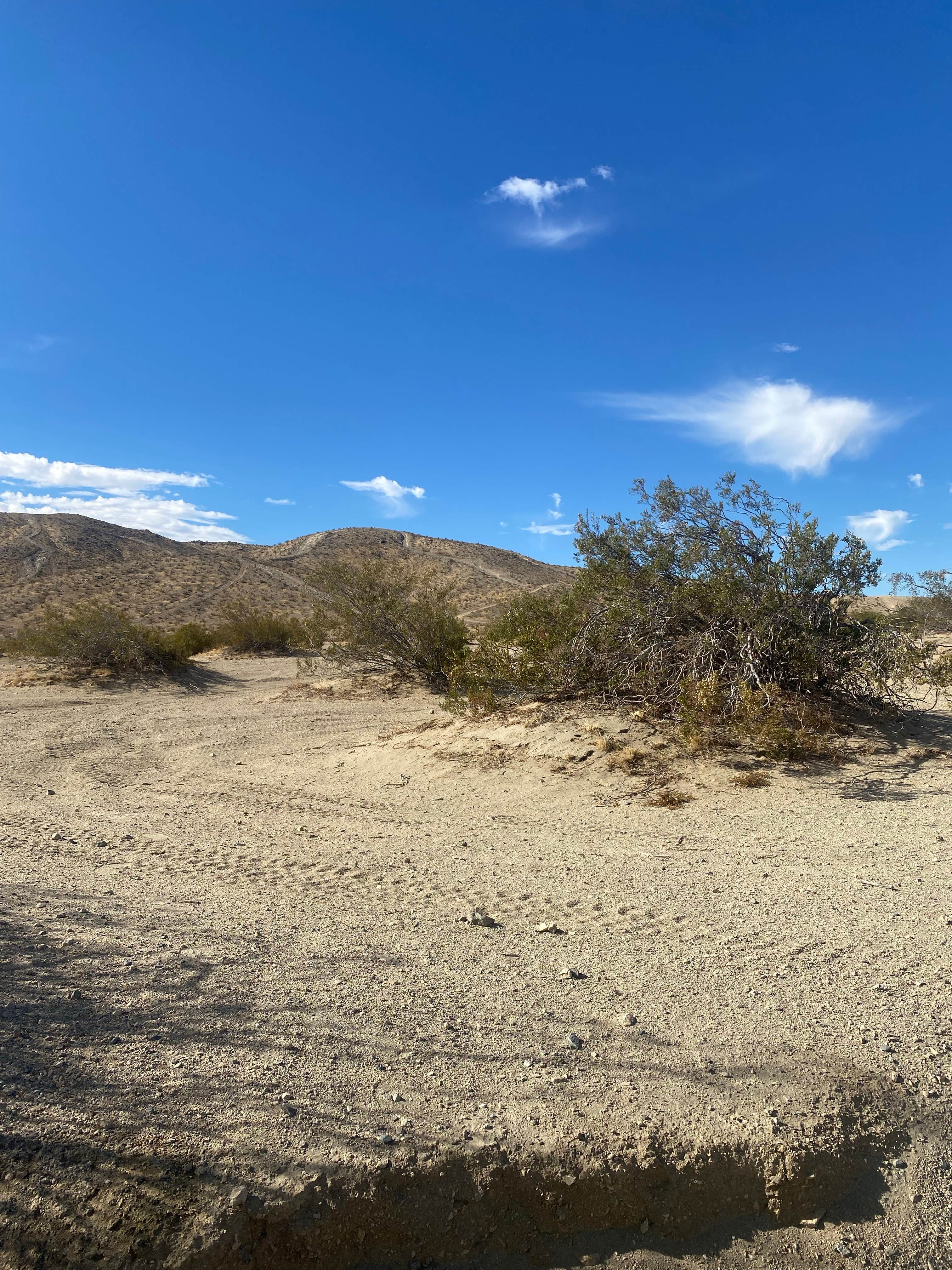 Camper submitted image from Stoddard Valley OHV - 1