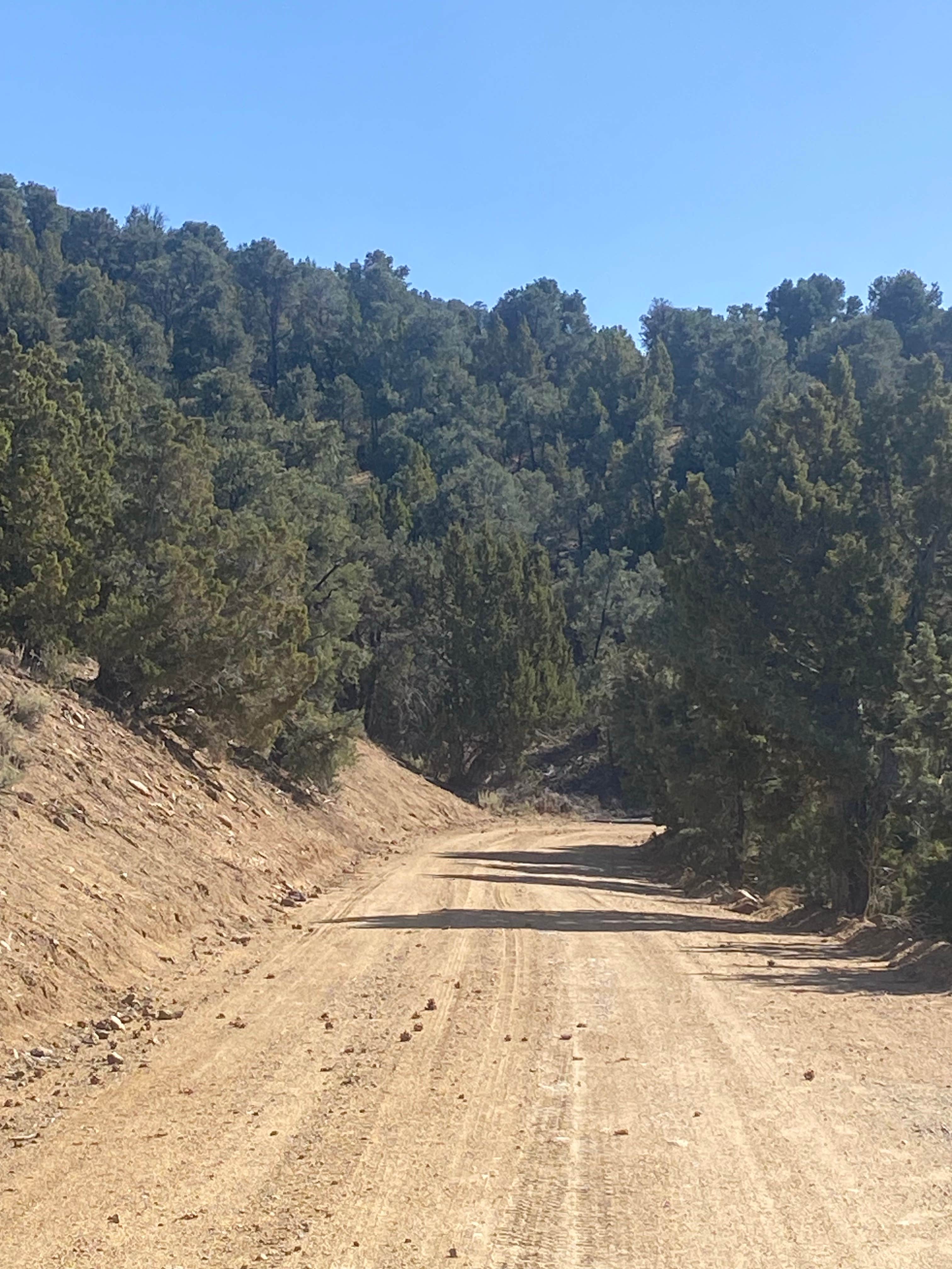 Camper-submitted photo at Stokes Castle near Austin, NV