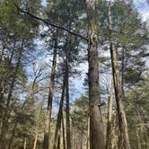 Review photo of Stokes State Forest by Adeline M., April 22, 2025