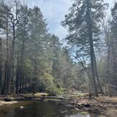 Review photo of Stokes State Forest by Adeline M., April 22, 2025