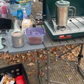 Review photo of Stokes State Forest by Nadine R., December 10, 2025