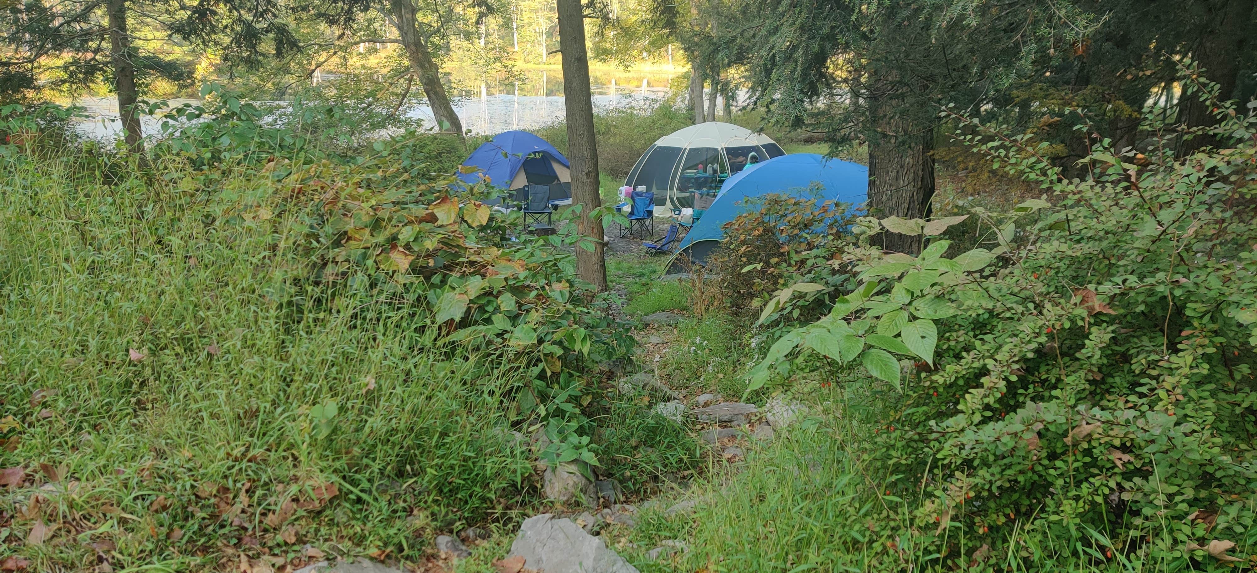 Oak T.'s photo at Stokes State Forest near Delaware Water Gap National Recreation Area
