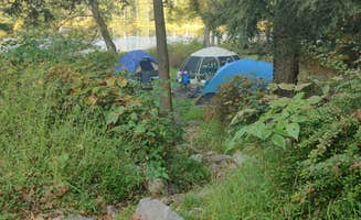 Oak T.'s photo at Stokes State Forest near Lake Hopatcong, NJ