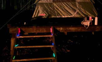 Nadine R.'s photo at Stokes State Forest near Sussex, NJ