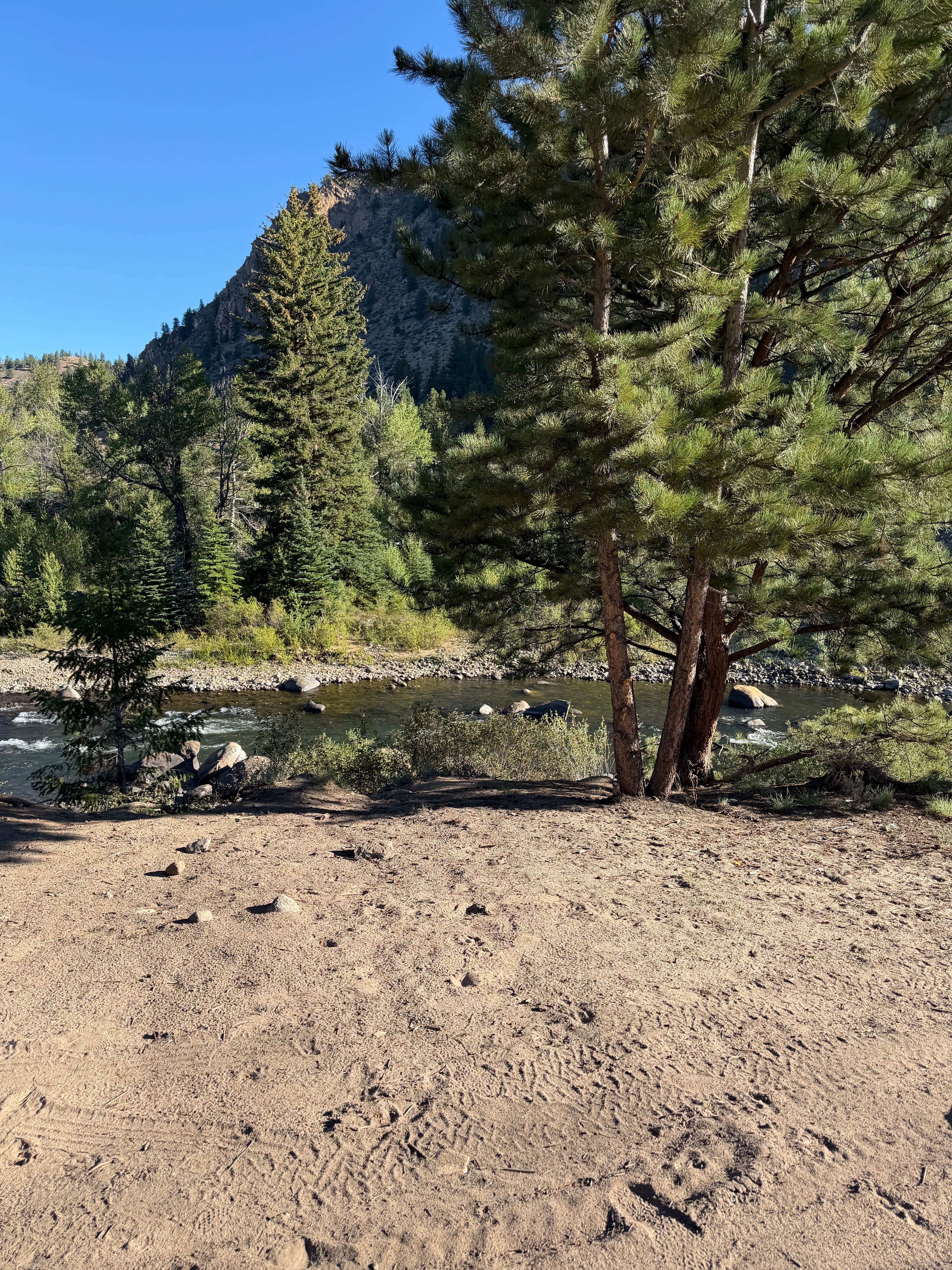 Camper-submitted photo at Stone Cabin near Granite, CO