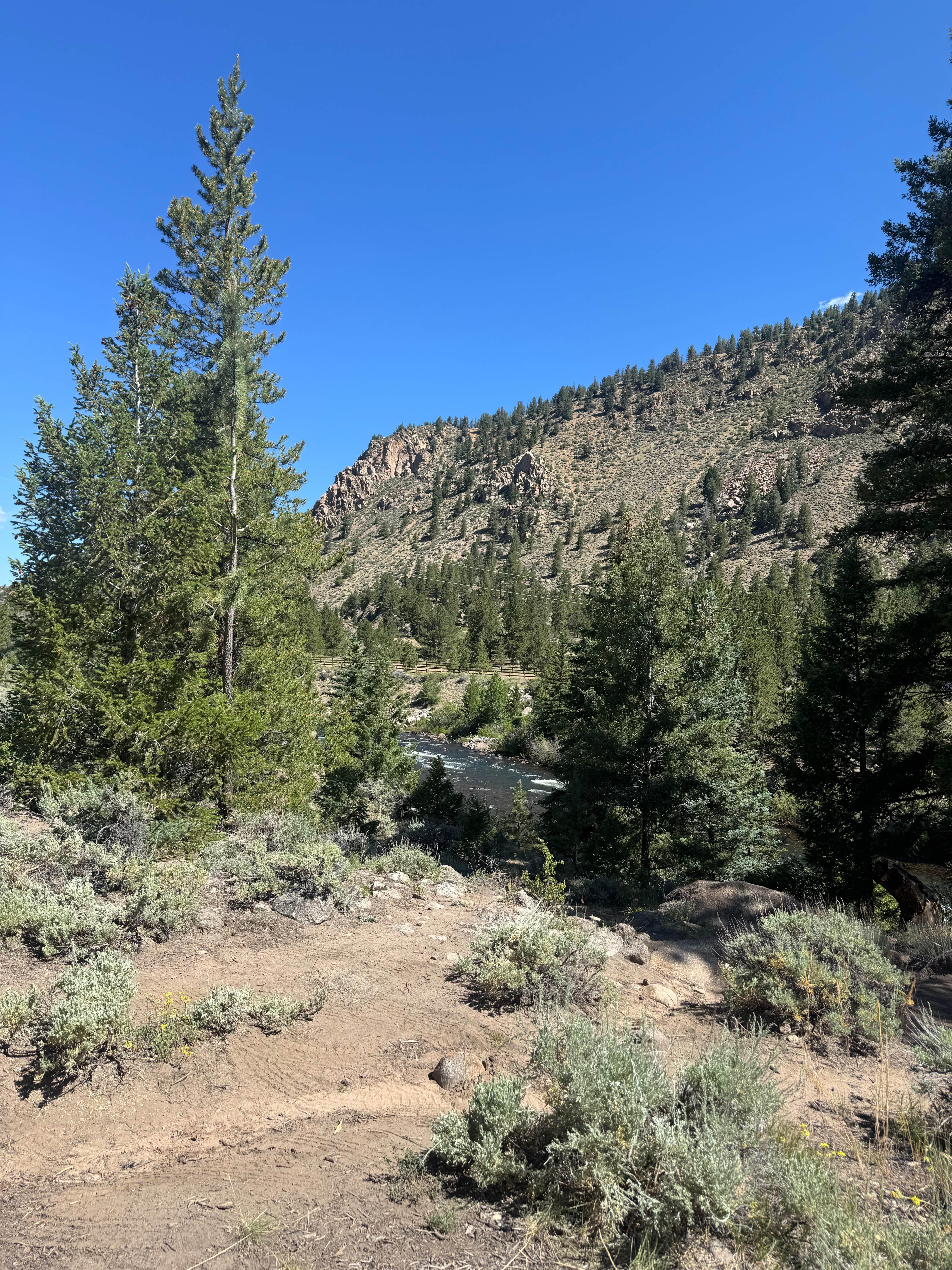 Camper-submitted photo at Stone Cabin near Granite, CO
