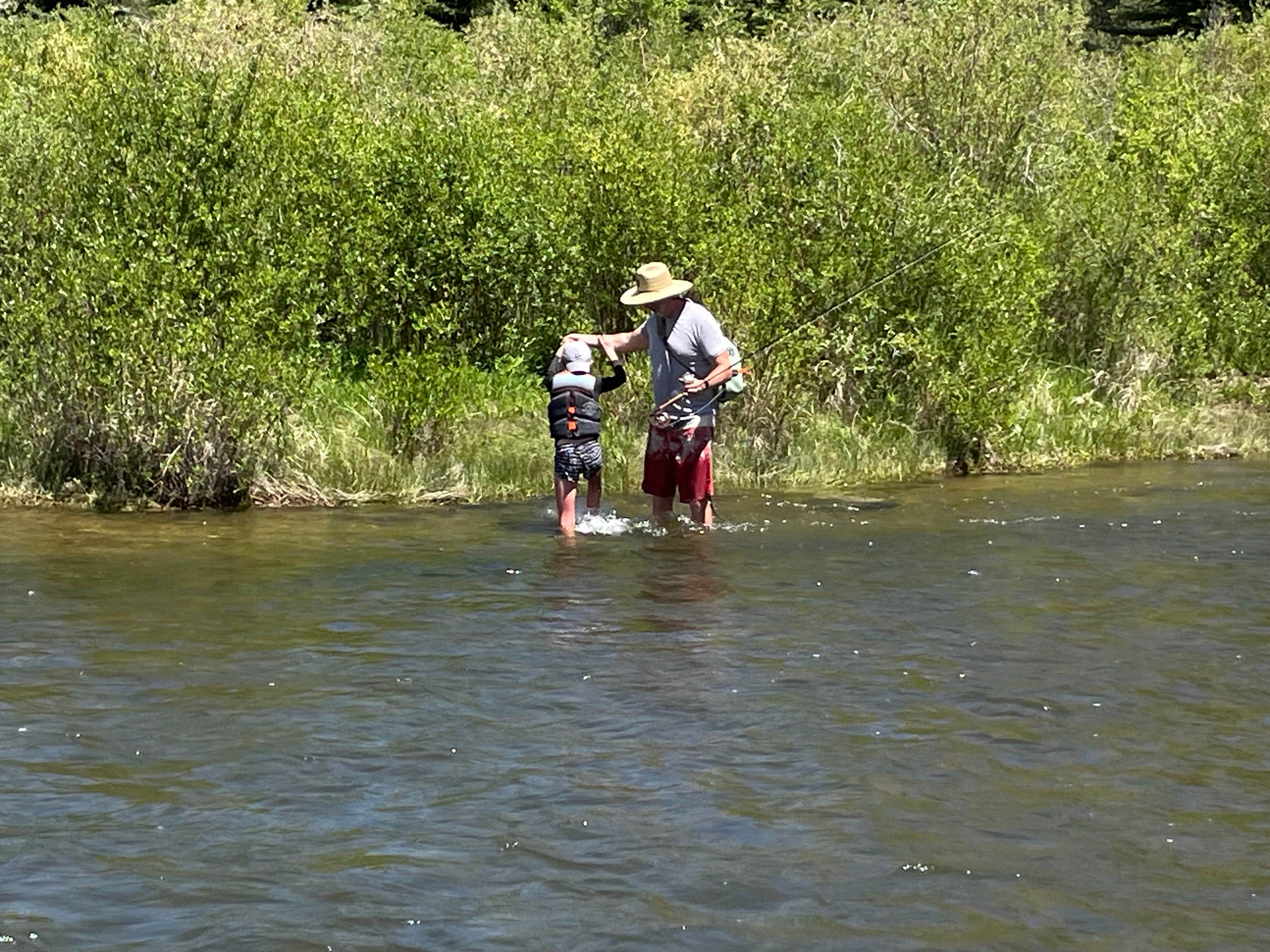 Casey C.'s photo of a dispersed camping area at Stone Cabin near Fairplay, CO