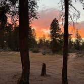 Review photo of Stone Cabin by M F., July 18, 2026