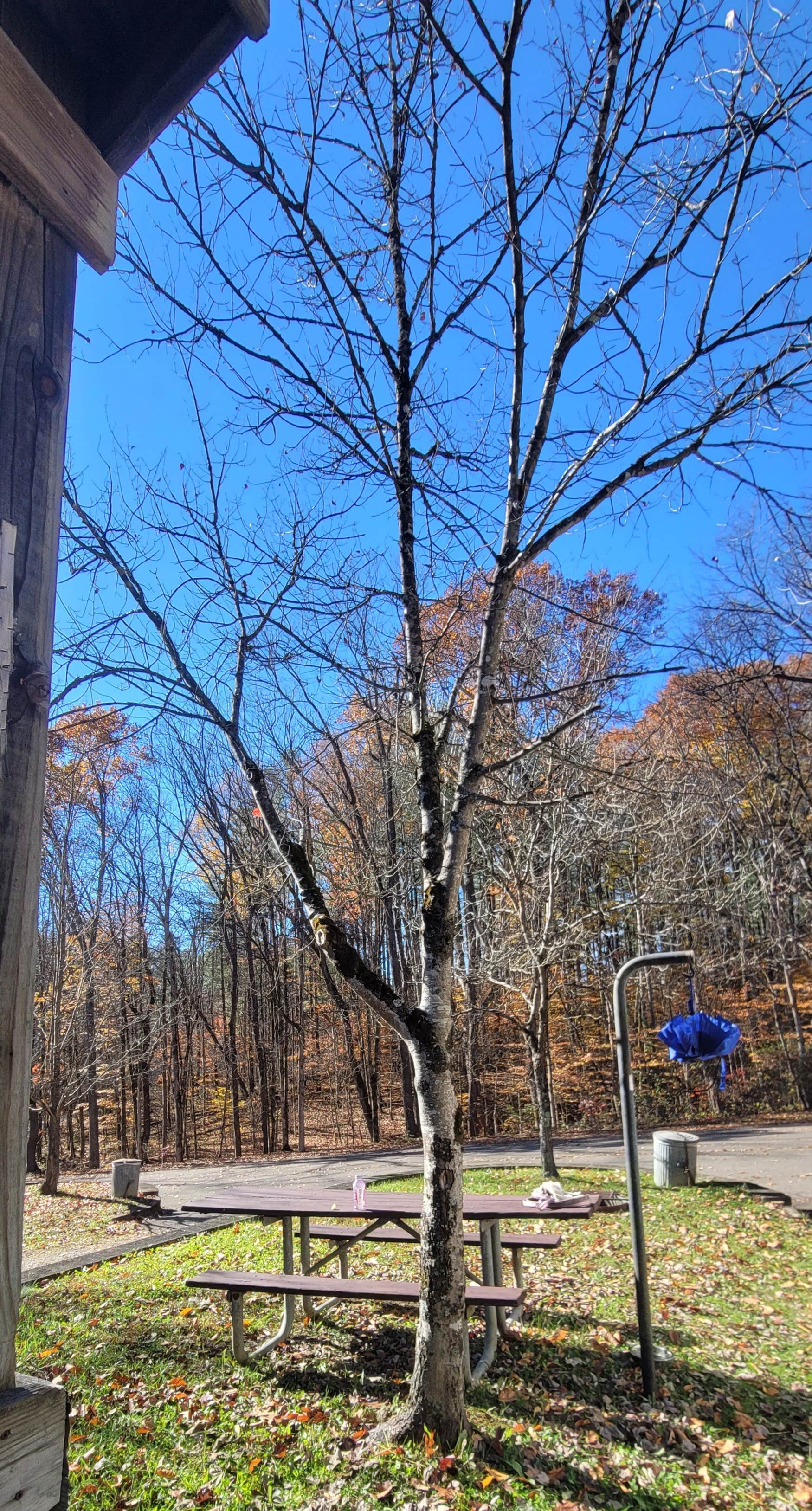 Camper-submitted photo at Old Stone Church Campground near Lockbourne, OH