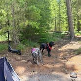 Review photo of Stone Creek Campground by Eric P., June 20, 2026