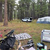 Review photo of Stoneman Lake Road by Donovan D., October 19, 2026