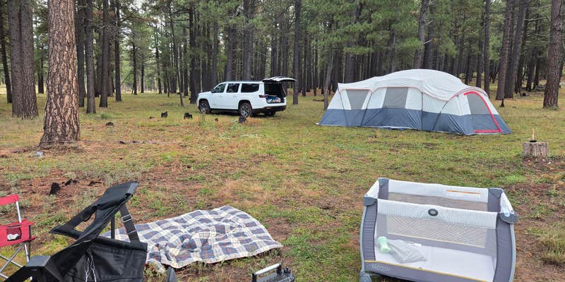 Camper submitted image from Stoneman Lake Road