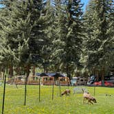 Review photo of Stoner RV Resort by MP C., May 25, 2025