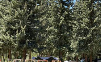 MP C.'s photo of camping with pets at Stoner RV Resort near Cortez, CO