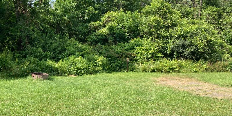 Camper submitted image from Stoney Pond State Forest Camping Area