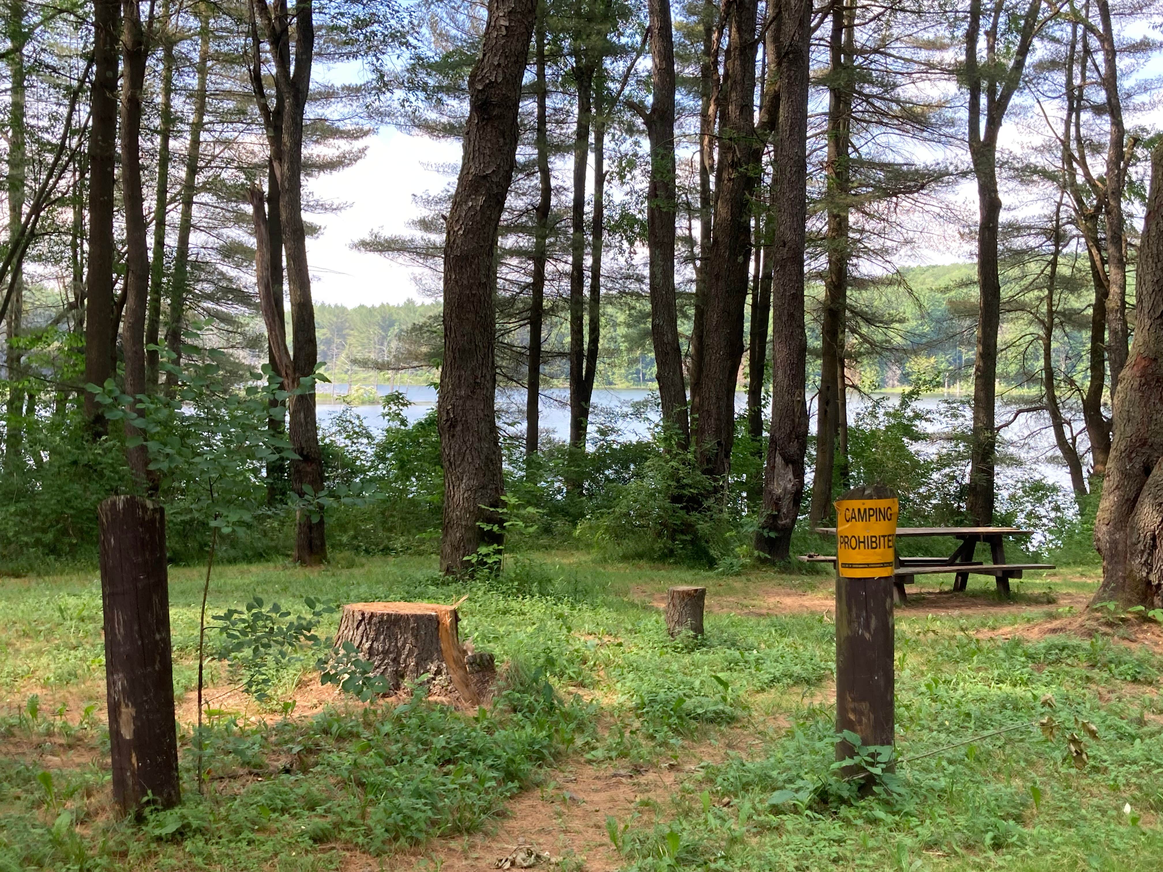 Camper-submitted photo at Stoney Pond State Forest Camping Area near Waterville, NY