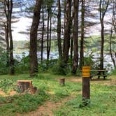 Review photo of Stoney Pond State Forest Camping Area by Janet R., June 23, 2024