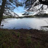 Review photo of Stoney Pond State Forest Camping Area by Ilce H., May 9, 2026