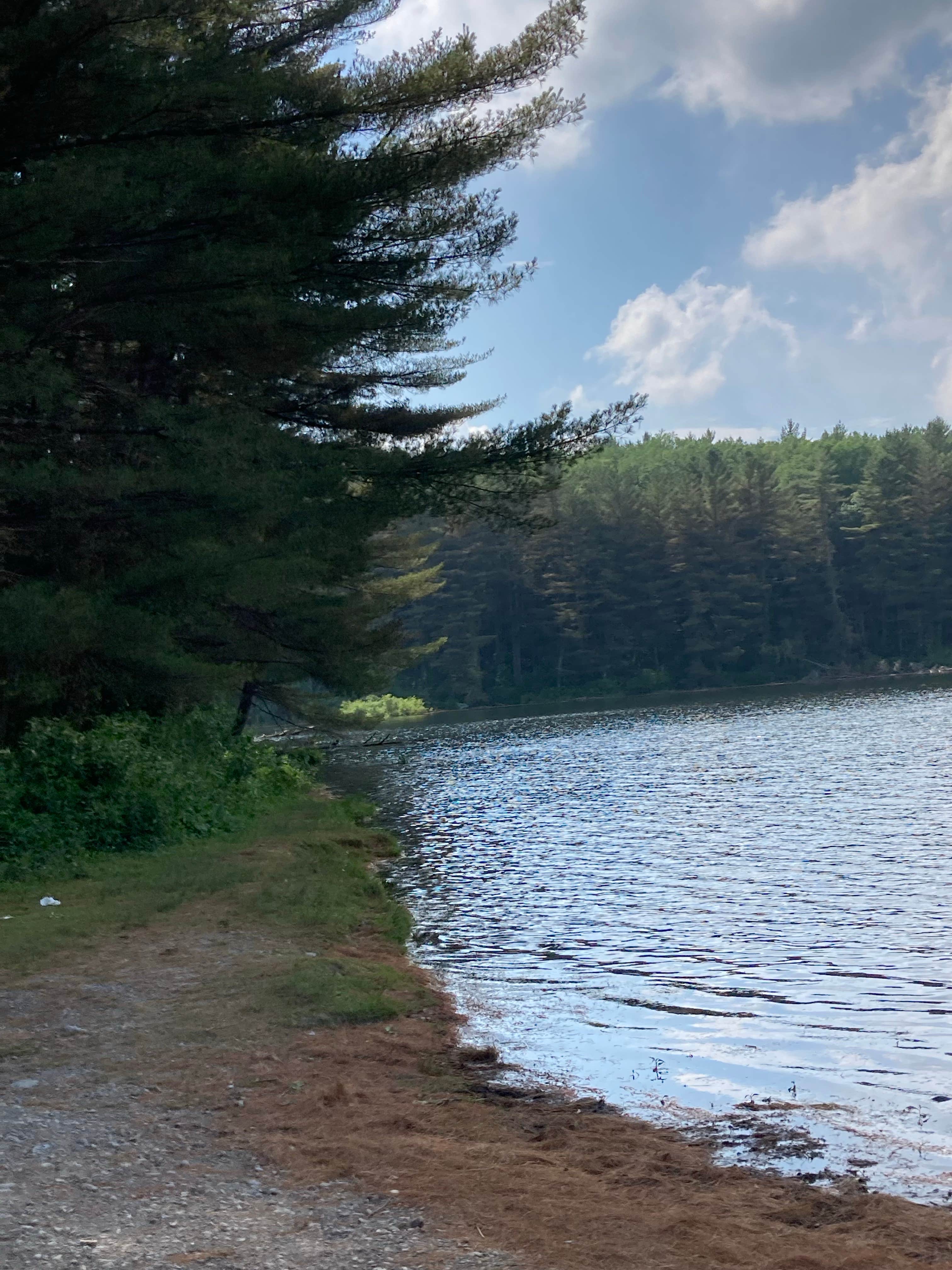 Camper submitted image from Stoney Pond State Forest Camping Area - 4