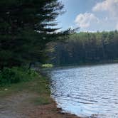 Review photo of Stoney Pond State Forest Camping Area by Janet R., June 23, 2024