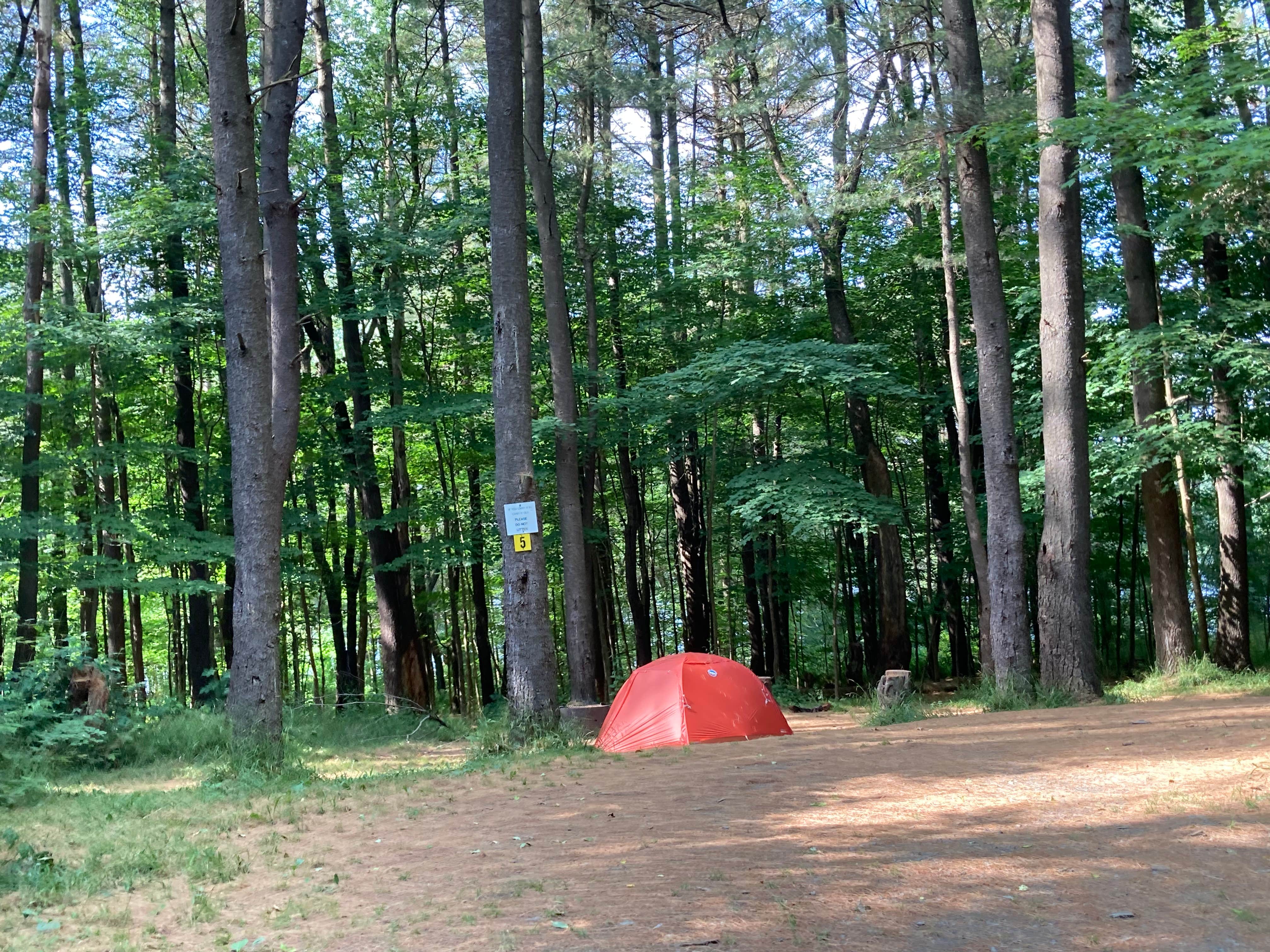 Camper-submitted photo at Stoney Pond State Forest Camping Area near Waterville, NY