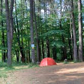 Review photo of Stoney Pond State Forest Camping Area by Janet R., June 23, 2024