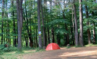 Janet R.'s photo at Stoney Pond State Forest Camping Area near Apulia Station, NY