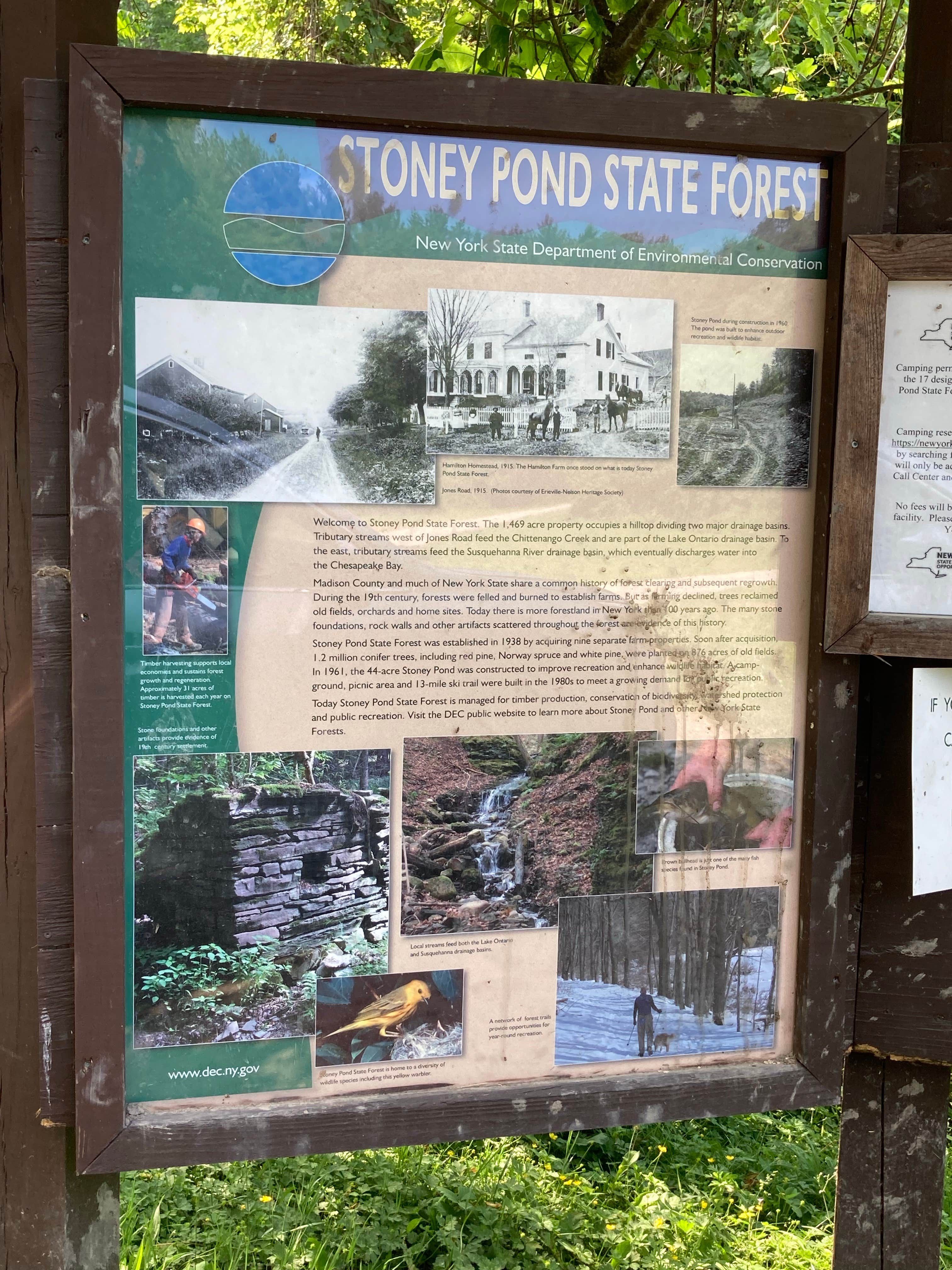 Janet R.'s photo of camping with pets at Stoney Pond State Forest Camping Area near Verona Beach, NY