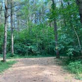 Review photo of Stoney Pond State Forest Camping Area by Janet R., June 23, 2024