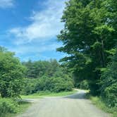 Review photo of Stoney Pond State Forest Camping Area by Janet R., June 23, 2024